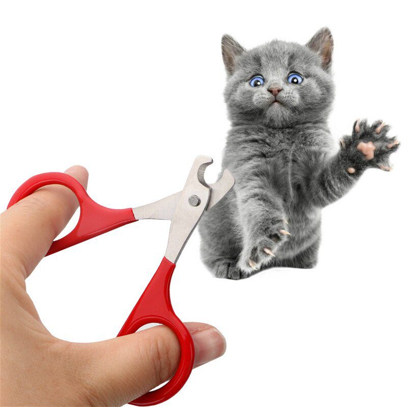 1 pièces rouge professionnel chien chiot coupeongles