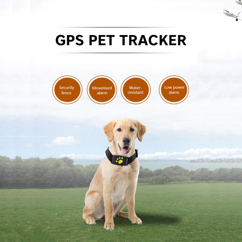 Mini animal de compagnie GPS Tracker chien chat collier