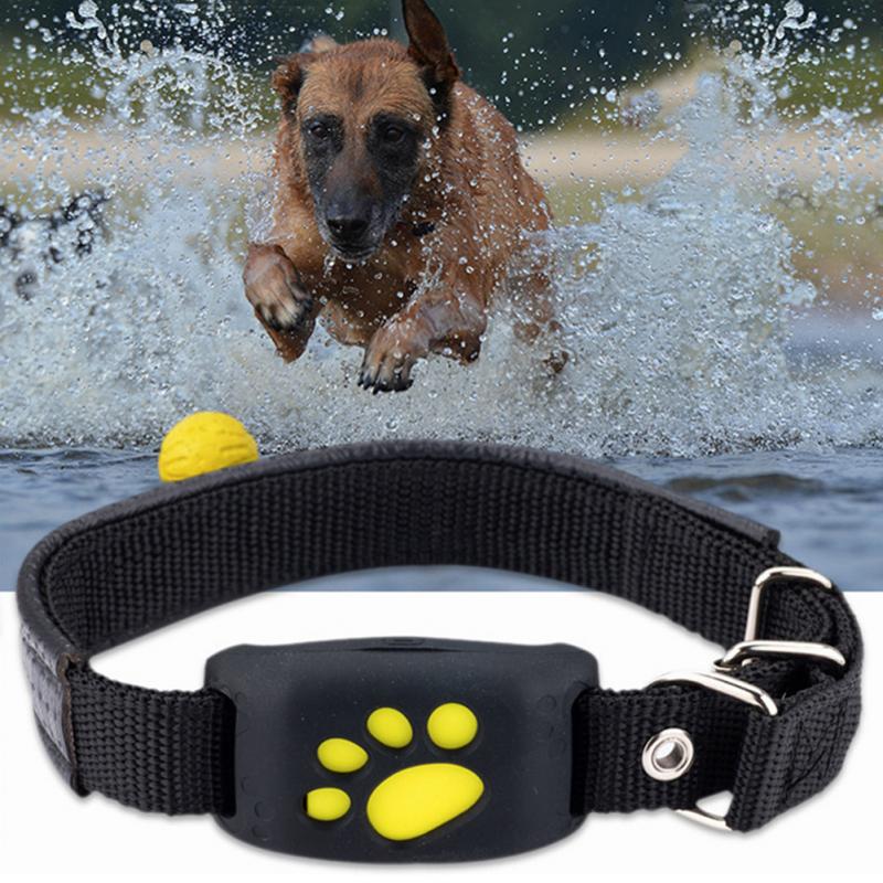 Mini animal de compagnie GPS Tracker chien chat collier