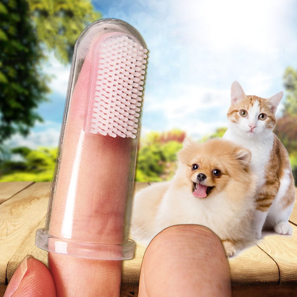 Nouveau vente chaude Super doux pour animaux de compagnie
