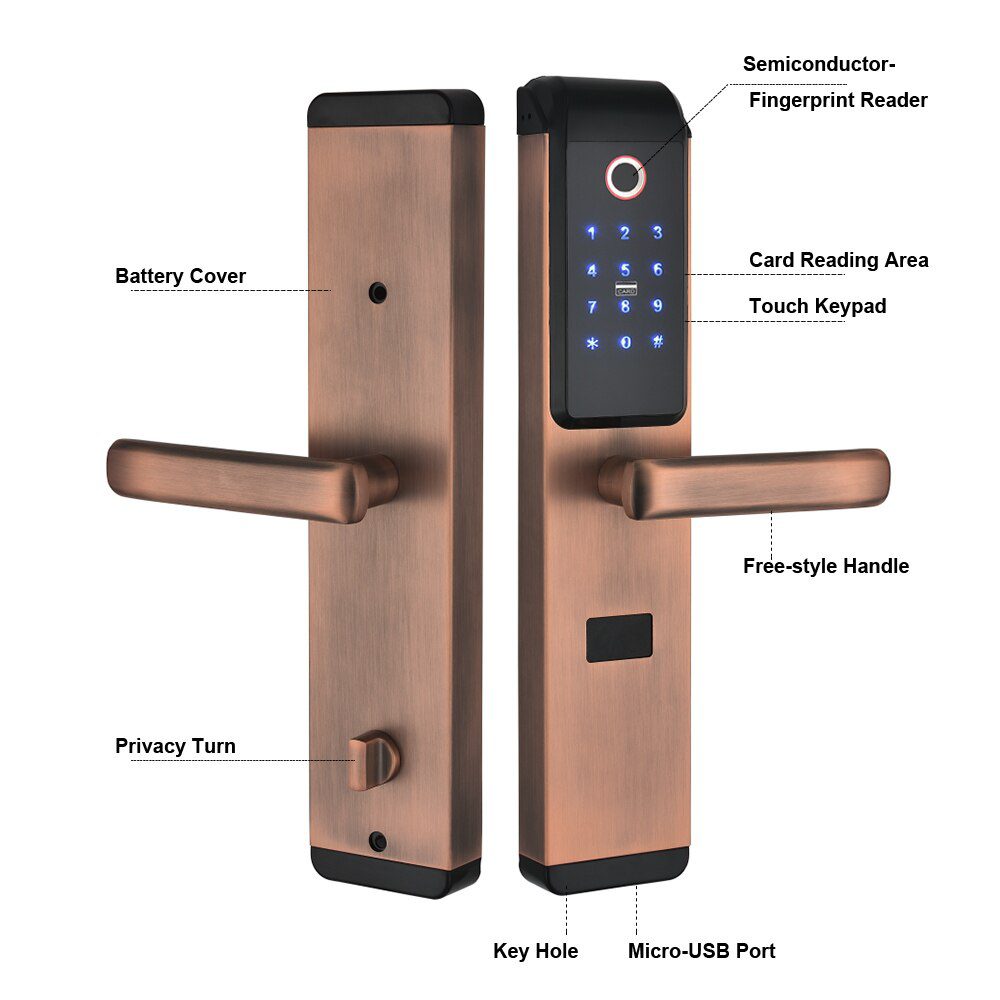 Serrure de porte numérique intelligente électronique WiFi 5 en 1, APP