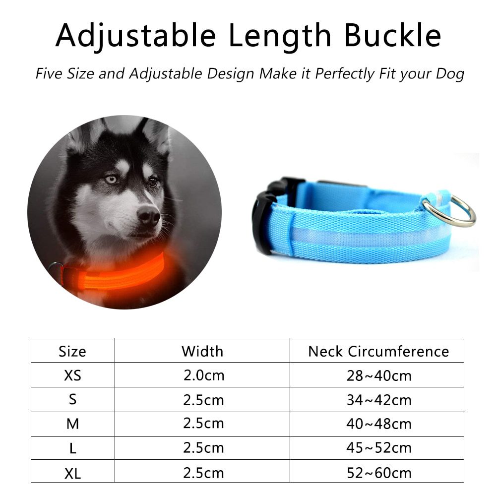 Collier Et Laisse Lumineux Pour Chien USB-C - Visibilité 500m, Laisse élastique, 2 Batteries, Recharge Rapide