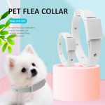 Collier réglable pour chat et chien collier de prévention des puces et des tiques de 3 mois Anti-tiques anti-puces