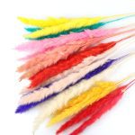Bulrush-fleur artificielle de mariage | Petite herbe de pampa séchée naturelle, fleur pour décoration de maison, fausses fleurs