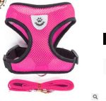 Maille petit chien harnais et laisse ensemble chiot chat gilet harnais pour carlin bouledogue Arnes Perro chat chien harnais gilet petshop #15