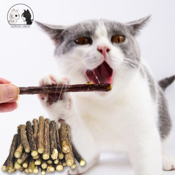 20 pièces pur naturel cataire chat pour animaux de compagnie jouet sécurité molaire dentifrice branche nettoyage dents Silvervine chat collations bâtons fournitures pour animaux de compagnie