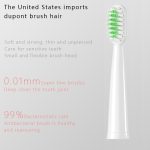 Brosse à dents électrique S802 étanche brosse à dents sonique automatique Rechargeable 5 modèles avec 2 têtes de brosse