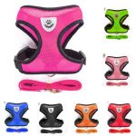 Maille petit chien harnais et laisse ensemble chiot chat gilet harnais pour carlin bouledogue Arnes Perro chat chien harnais gilet petshop #15