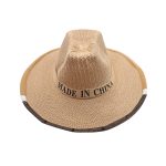 Chapeau Anti-abeille pour ruche 1 pièce | Chapeau de Cowboy, filet anti-insectes, voile pour tête, protection faciale, équipement pour apiculteur, vente en gros