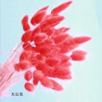 Bulrush-fleur artificielle de mariage | Petite herbe de pampa séchée naturelle, fleur pour décoration de maison, fausses fleurs