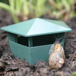 Cage d'escargot écologique limace maison piège à escargot attrape les ravageurs rejettent les outils de Gintrap