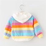 Vêtements de printemps-automne pour petites filles | En coton, sweat-shirt à capuche, design de dessin animé, vêtements pour bébés 2019