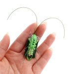 Nouveau 1 pièces enfants bébé énergie solaire énergie insecte sauterelle Cricket enfants jouet cadeau solaire nouveauté drôle jouets