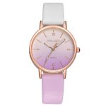 Femmes Gradient arc-en-ciel conception Montre de luxe de mode de haute qualité en cuir bande Quartz robe montres 2019 Montre Femme chaude F4