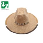 Chapeau Anti-abeille pour ruche 1 pièce | Chapeau de Cowboy, filet anti-insectes, voile pour tête, protection faciale, équipement pour apiculteur, vente en gros