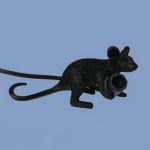 MOUSE LAMP LED E12 Black White Animal Rat Mouse Desk lamps Lights Resin Night Lights Animal Art Gold Mini Lamp white lighting