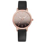 Femmes Gradient arc-en-ciel conception Montre de luxe de mode de haute qualité en cuir bande Quartz robe montres 2019 Montre Femme chaude F4