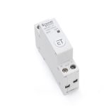 Télécommande intelligente de relais de commutateur de minuterie de disjoncteur de WIFI de Rail de Din par l'application d'ewelink fonctionnent avec Alexa Google Home 110V 220V