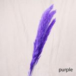Bulrush-fleur artificielle de mariage | Petite herbe de pampa séchée naturelle, fleur pour décoration de maison, fausses fleurs
