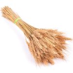 Bulrush-fleur artificielle de mariage | Petite herbe de pampa séchée naturelle, fleur pour décoration de maison, fausses fleurs