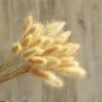Bulrush-fleur artificielle de mariage | Petite herbe de pampa séchée naturelle, fleur pour décoration de maison, fausses fleurs
