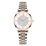 Femmes montres haut marque de luxe 2020 mode diamant dames montres en acier inoxydable argent maille bracelet femme montre à Quartz