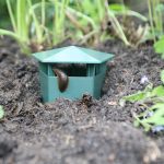Cage d'escargot écologique limace maison piège à escargot attrape les ravageurs rejettent les outils de Gintrap