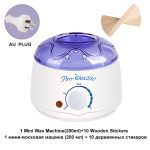 Épilation électrique cire-fonte Machine chauffage 100g cire haricots 10 pièces bois autocollants épilation ensembles cire Kit cera depilatori