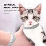 Collier réglable pour chat et chien collier de prévention des puces et des tiques de 3 mois Anti-tiques anti-puces
