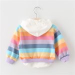 Vêtements de printemps-automne pour petites filles | En coton, sweat-shirt à capuche, design de dessin animé, vêtements pour bébés 2019