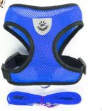 Maille petit chien harnais et laisse ensemble chiot chat gilet harnais pour carlin bouledogue Arnes Perro chat chien harnais gilet petshop #15