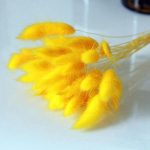Bulrush-fleur artificielle de mariage | Petite herbe de pampa séchée naturelle, fleur pour décoration de maison, fausses fleurs