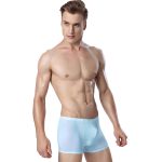 1 pièces été Ultra-mince hommes culottes glace soie sans couture hommes boxer solide translucide caleçon respirant culotte