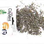 Cat Mint (5g)