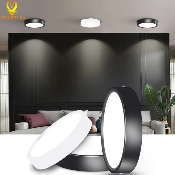 Led Downlights 220V Downlight Spot Led Lights Lamp Surface Mounted 5W 10W 15W 25W 110V Light Fixture for Indoor Lighting Kitchen