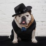 Summer Pet Dog Hat Outdoor Dogs Caps For Small Medium Dogs Cats Adjustable Puppy Kitten Hats Pet Accessories Chihuahua