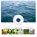 6 PCS Solid Car Perfume Car Air Freshener Supplement Car Air Conditioner Vent Auto Ocean Co Co Refill Auto Air Outlet Perfume