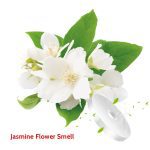 6 PCS Solid Car Perfume Car Air Freshener Supplement Car Air Conditioner Vent Auto Ocean Co Co Refill Auto Air Outlet Perfume