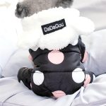 Winter Dog Clothes Hoodie Coat Big Polka Dot Cotton Coat Thicken Winter Warm Clothes for Small Dogs Puppy Sweater Dogs Pets