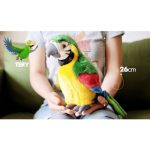 Jouet en peluche électrique de 26cm, Simulation de perroquet parlant, mignon, répétitions, ailes ondulées, jouet aras, cadeau pour enfant
