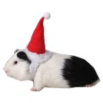Small Animals Pet Santa Claus Hat Rabbit Hamster Guinea Pig Rats Festival Costume Christmas Cap with Band Pet Products C42