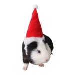 Small Animals Pet Santa Claus Hat Rabbit Hamster Guinea Pig Rats Festival Costume Christmas Cap with Band Pet Products C42