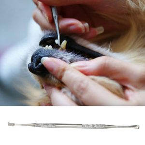 Double-head Stainless Steel Pet Tartar Stone Remover Scraper Scaler for Dog Cat Dental Tooth Oral Hygiene Health Care Clean Tool
