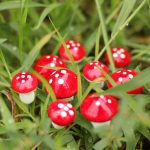 Mini champignons artificiels de 2 cm,10 pièces, mousse de Terrarium, pierreries artisanales, piquet de résine artisanat de décoration, nouvelle offre spéciale!