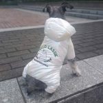 Silver Jumpsuit For Dogs Thick Pet Hoodie Parka Winter Dog Clothes Warm Four Legs Overalls For Small Dogs Puppy Schnauzer 10A
