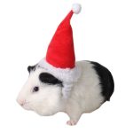 Small Animals Pet Santa Claus Hat Rabbit Hamster Guinea Pig Rats Festival Costume Christmas Cap with Band Pet Products C42