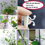 Attache auto-adhésive pour plantes grimpantes, fixation attachée, crochet pour boucle de vigne, plantes de jardin, Clips de vigne