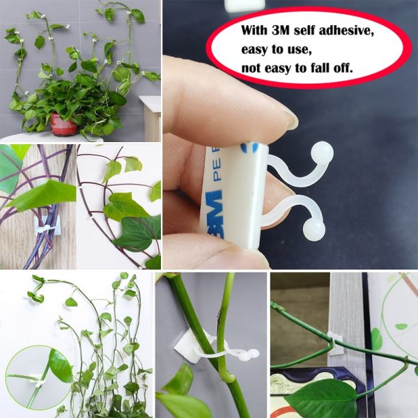 Attache auto-adhésive pour plantes grimpantes, fixation attachée, crochet pour boucle de vigne, plantes de jardin, Clips de vigne
