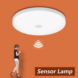 LED Lamp with Motion Sensor Ceiling Lights PIR Night Light Sensor Wall Lamps 110V 220V 18W 15/20/30/40W for Home Stairs Hallway