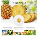 Pineapple Smell